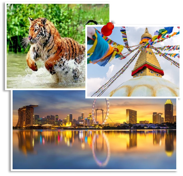 Uma Holidays Travels and Tours Pvt Ltd.